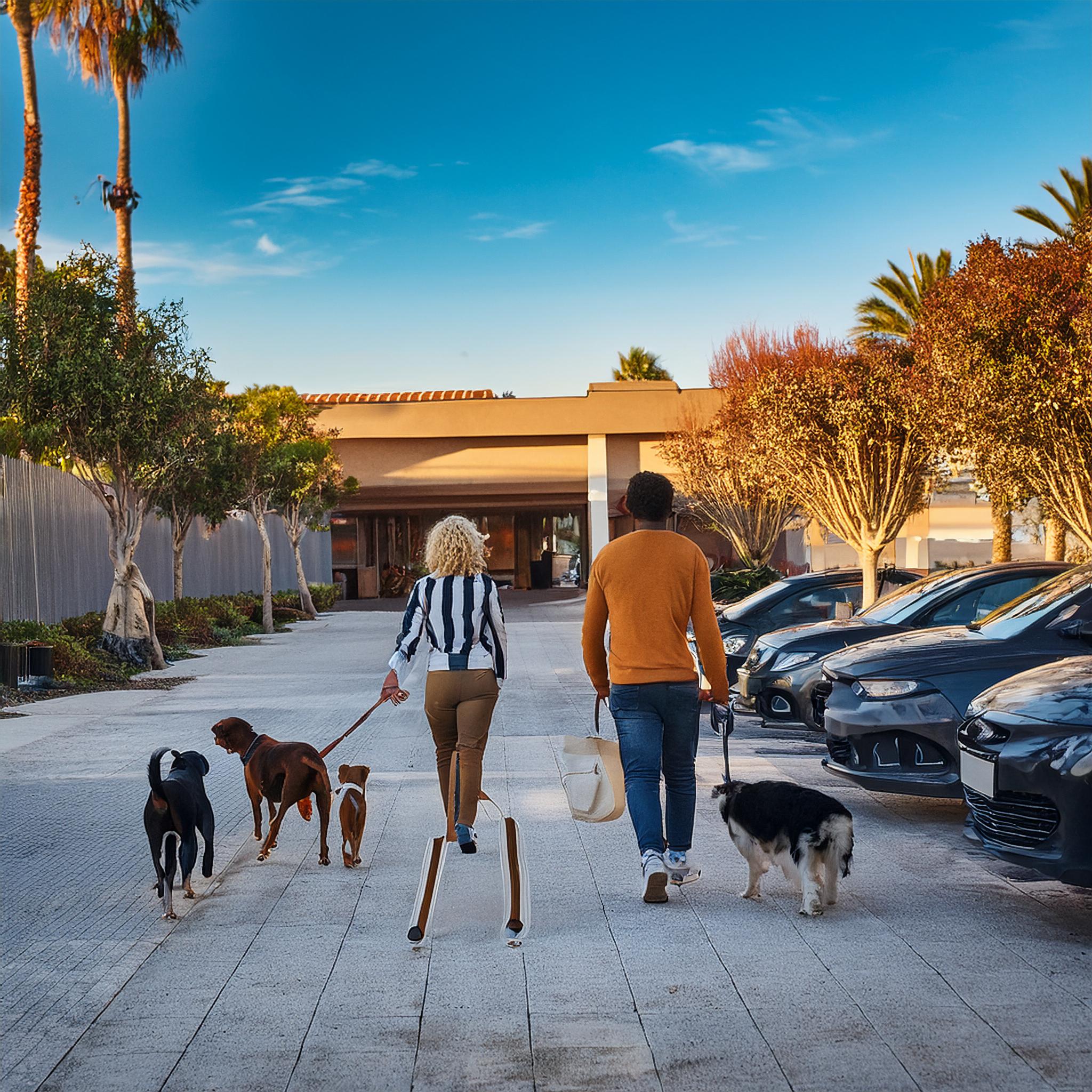 Pet-friendly restaurant in Orange County with a couple dining with their dog and a luxury car from Drive Klassi parked nearby